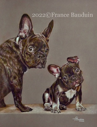 French Bulldogs - 47 hours
Brown Pastelmat Board
17" x 13.5"
Ref: Robert Cosens